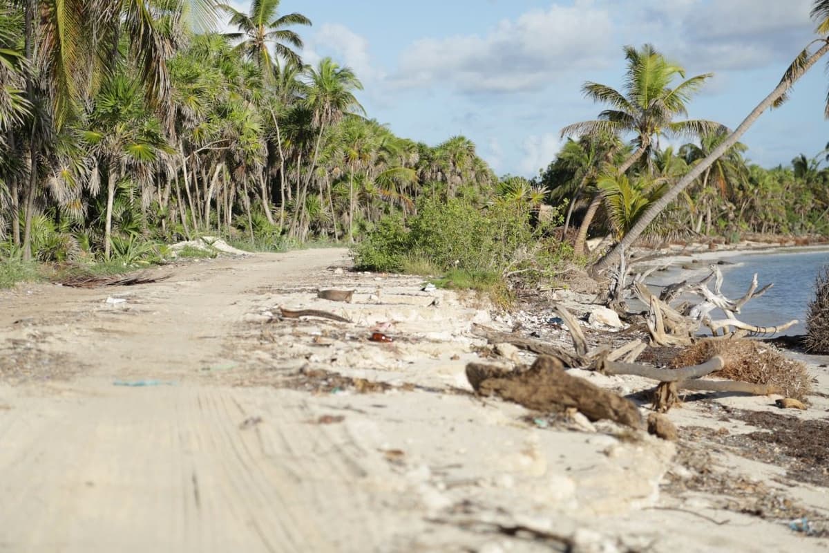 Iniciará la reparación del camino a Punta Allen