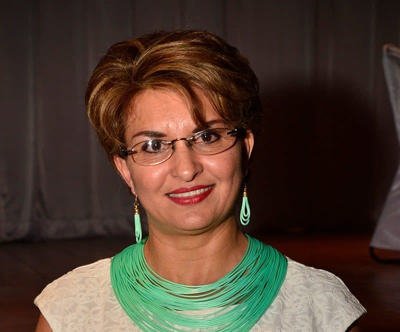 Panal sí tiene cuadros para senaduría, afirma Krinagemma