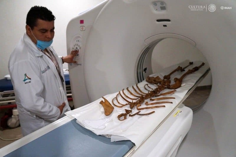 "Naia" entre los trabajos de restauración y conservación más destacados del año por el INAH