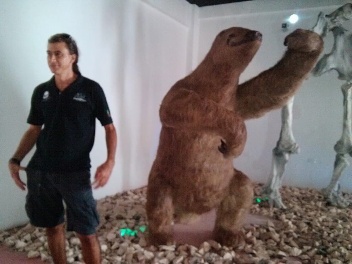 Cierra sus puertas el Museo de la Prehistoria