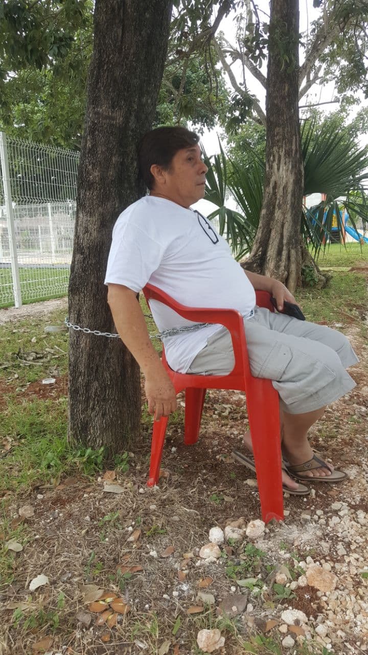 Se encadena para salvar árboles