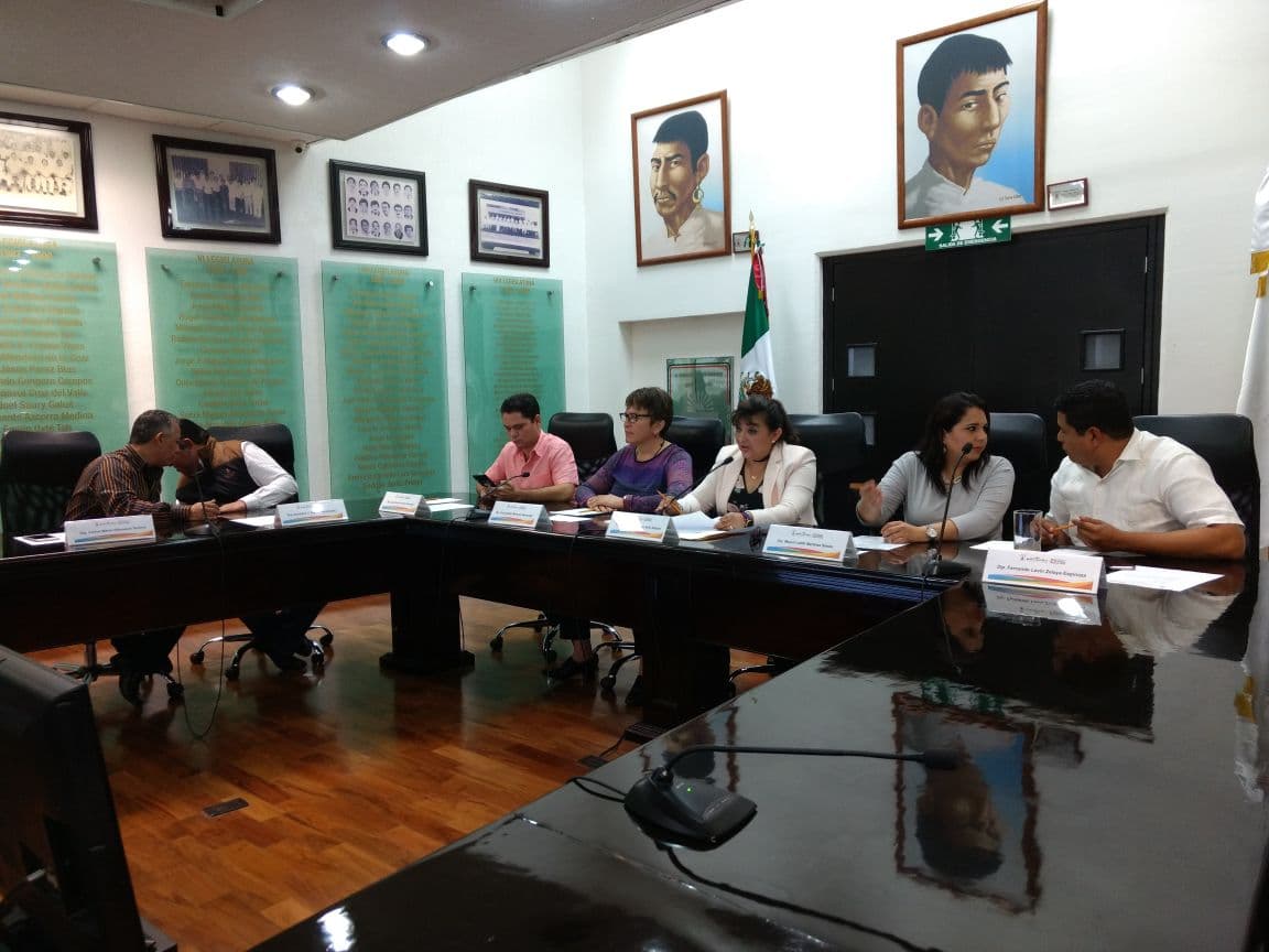 Eligen terna para la Cdheqroo