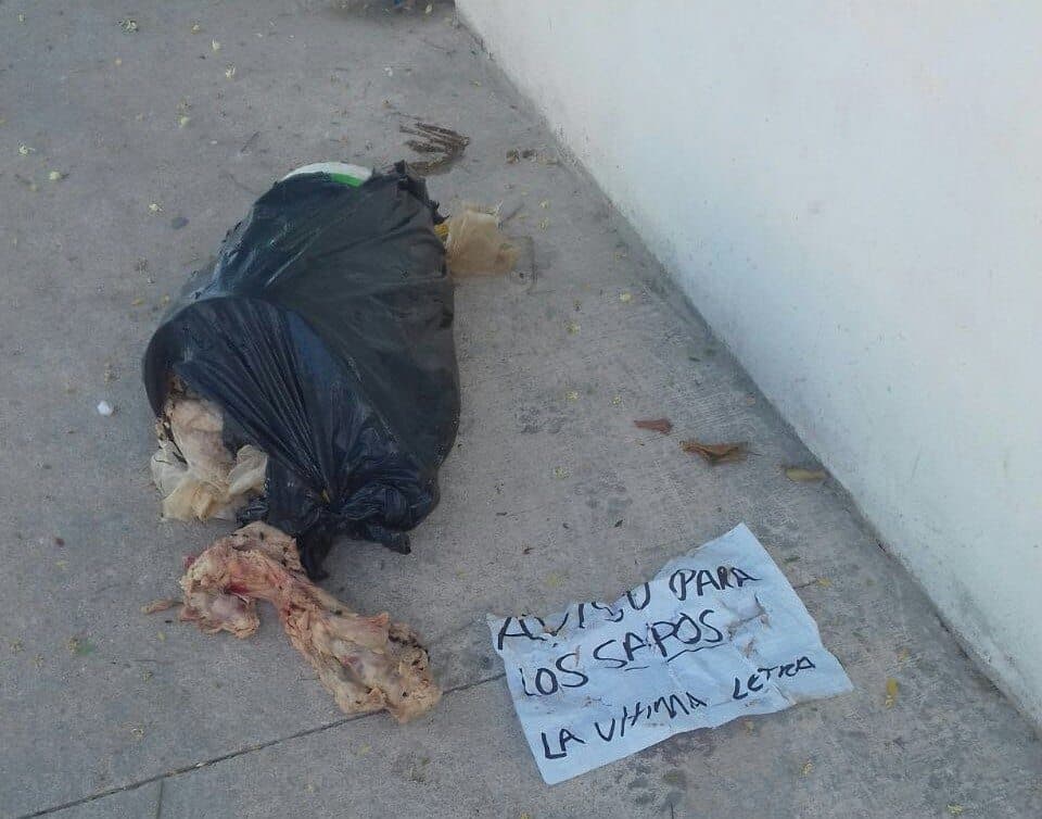 Dejan restos de animales en una cubeta