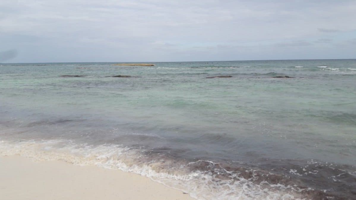 Detecta Profepa irregularidades en Punta Beté, Solidaridad