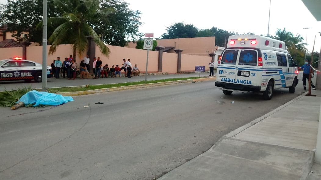 Motociclista pierde la vida al chocar contra una palmera tras derraparse