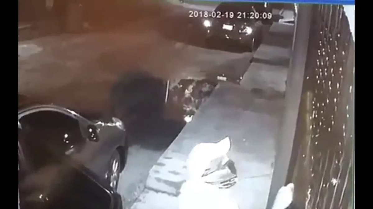 Graban a ladrones en acción en Cozumel