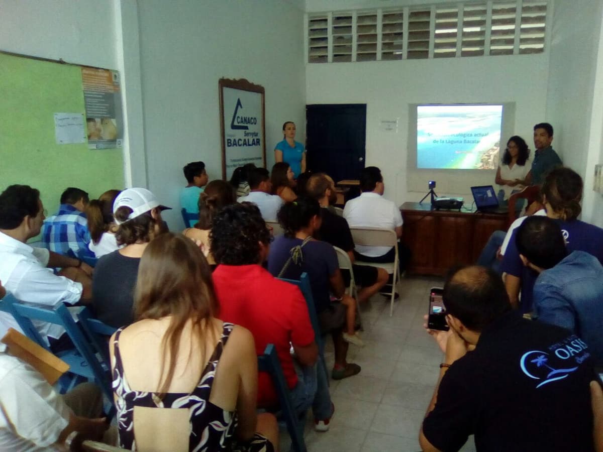 Agroquímicos “enferman” a la laguna de Bacalar