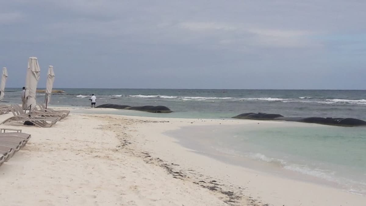 Después de clausura, hotel Grand Velas pide permiso para frenar erosión de playas