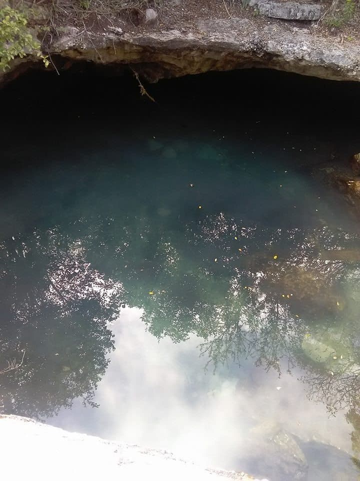 Pipas arrojan desechos sépticos en cenote de Chemuyil