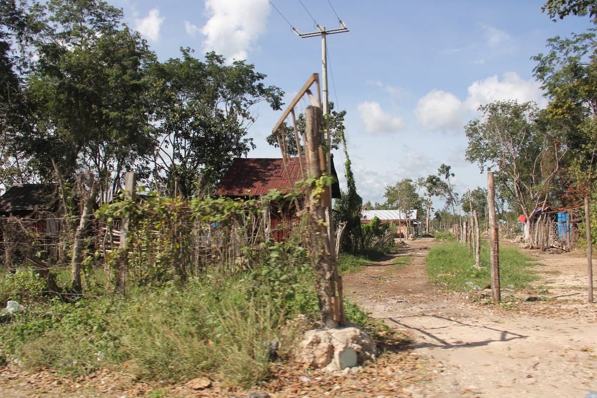 Denuncian contubernio entre CFE e invasiones en Tulum