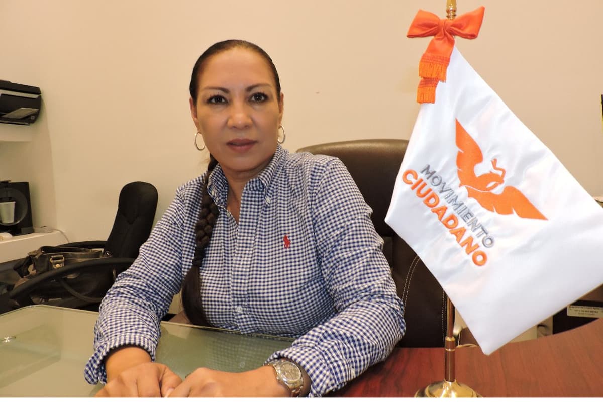 Solicita licencia Ludivina Menchaca