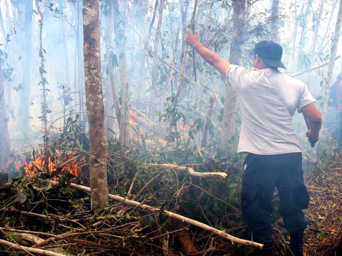 Se pierden 17 hectáreas por incendios forestales en inicio de temporada