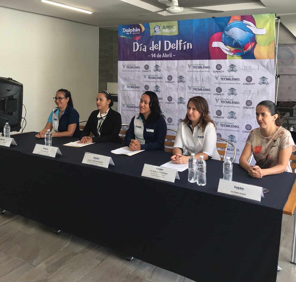 Celebrarán Día Mundial del Delfín con foro sobre especie