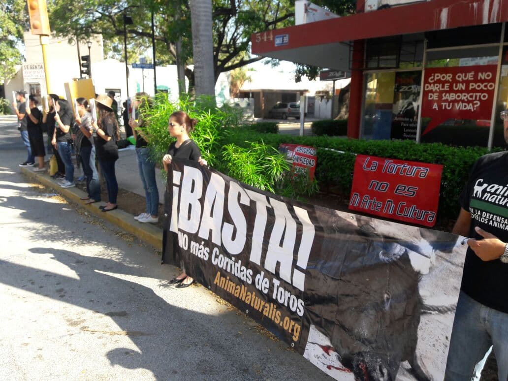 Protestan contra corridas de toros en Mérida