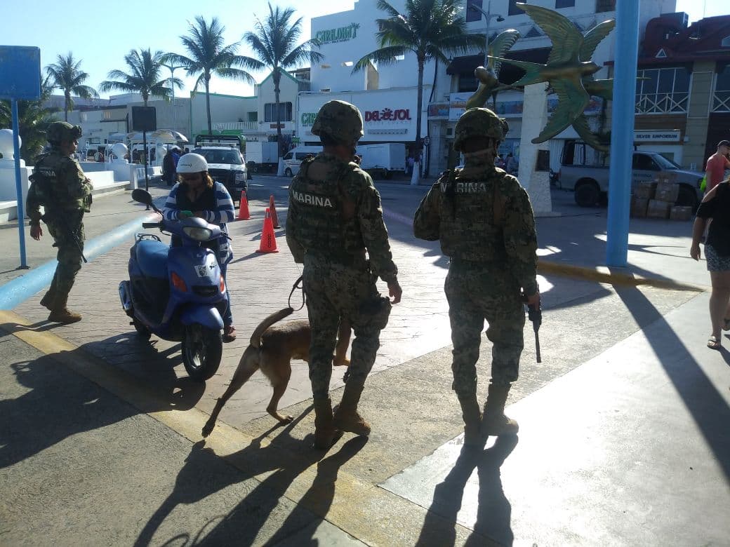 Con tranquilidad fluye cruce a Cozumel