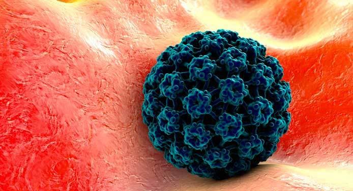 Aumenta cada año la cifra de personas con Virus del Papiloma Humano