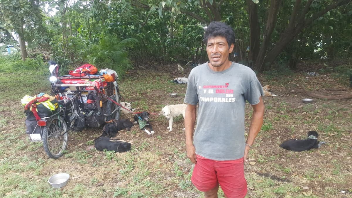 Edgardo “Perros” recorre México para ayudar a los amigos de "cuatro patas"