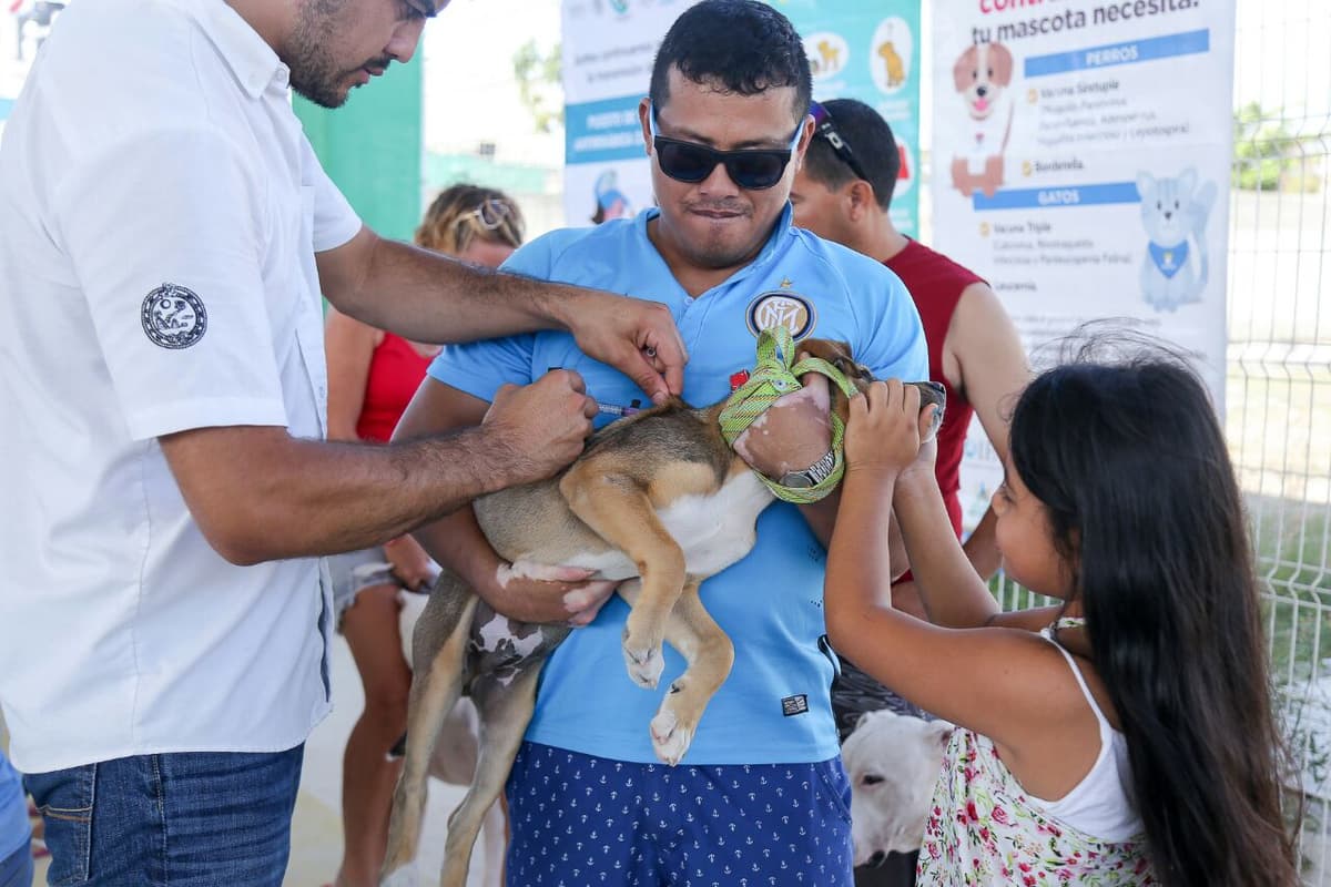 Anuncian en Tulum campaña de esterilización de mascotas