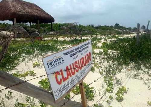 Clausura PROFEPA obra en la Biósfera de Sian Ka'an