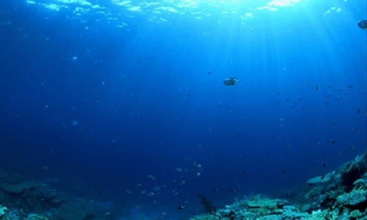 Riviera Maya, sede de la Cumbre Mundial del Océano 2018