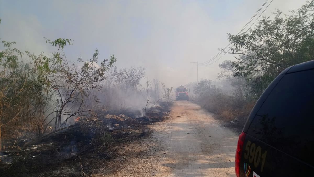 Arrasa incendio con 30 hectáreas de reserva de Yucatán
