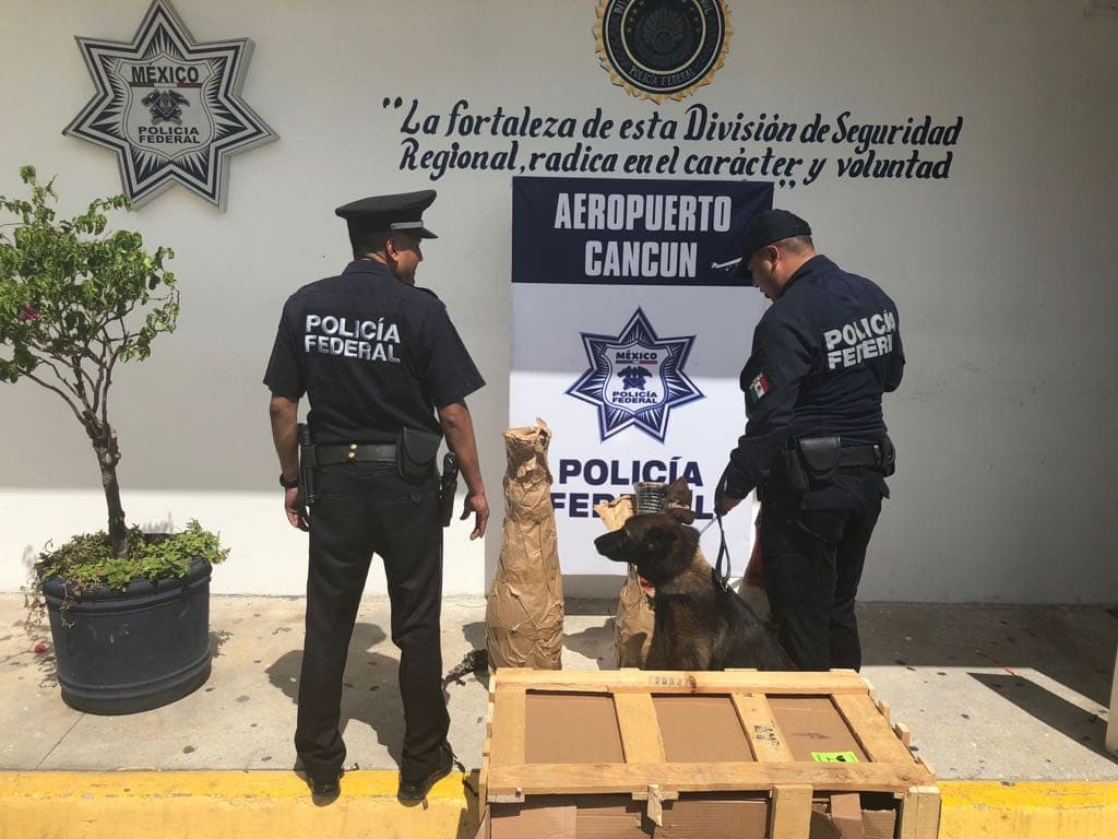 Hallan marihuana oculta en jarrones, en aeropuerto de Cancún
