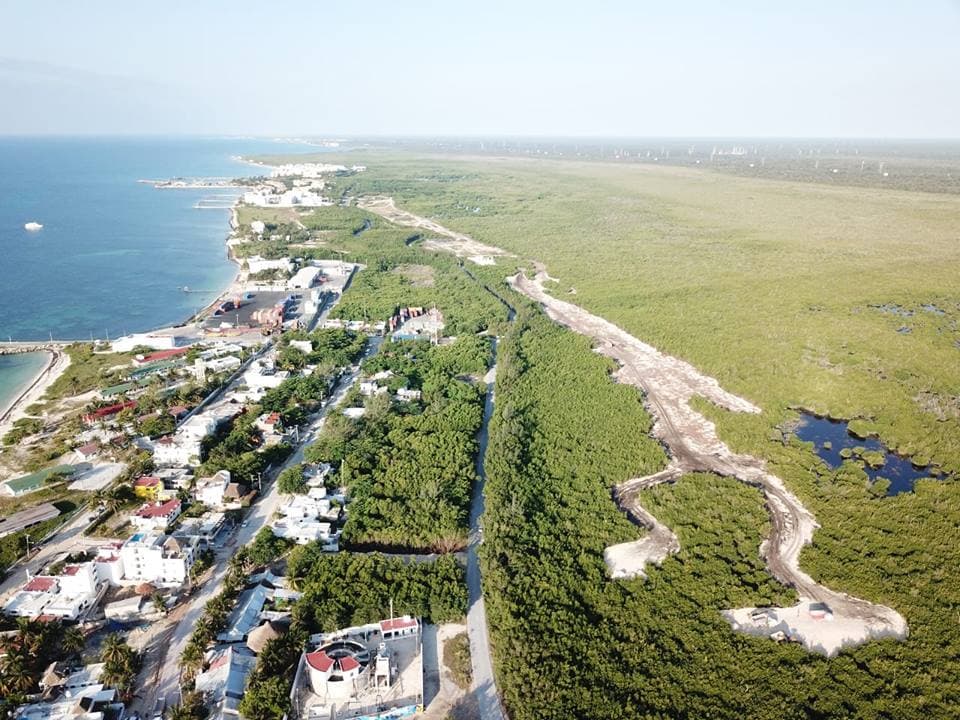 Denuncian  ecocidio en Puerto Morelos