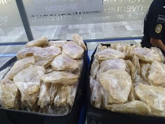Atrapan a chino con 417 buches de totoaba en el AICM; el segundo en una semana