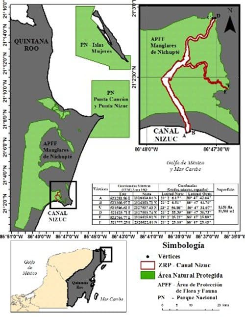 Prohibe Sagarpa pescar en Canal Nizuc