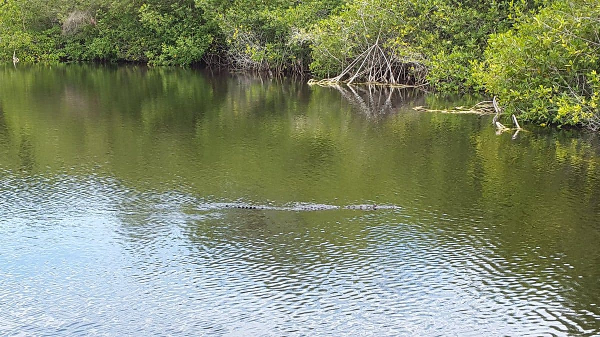 Alistan proyecto integral para Uxuxubí