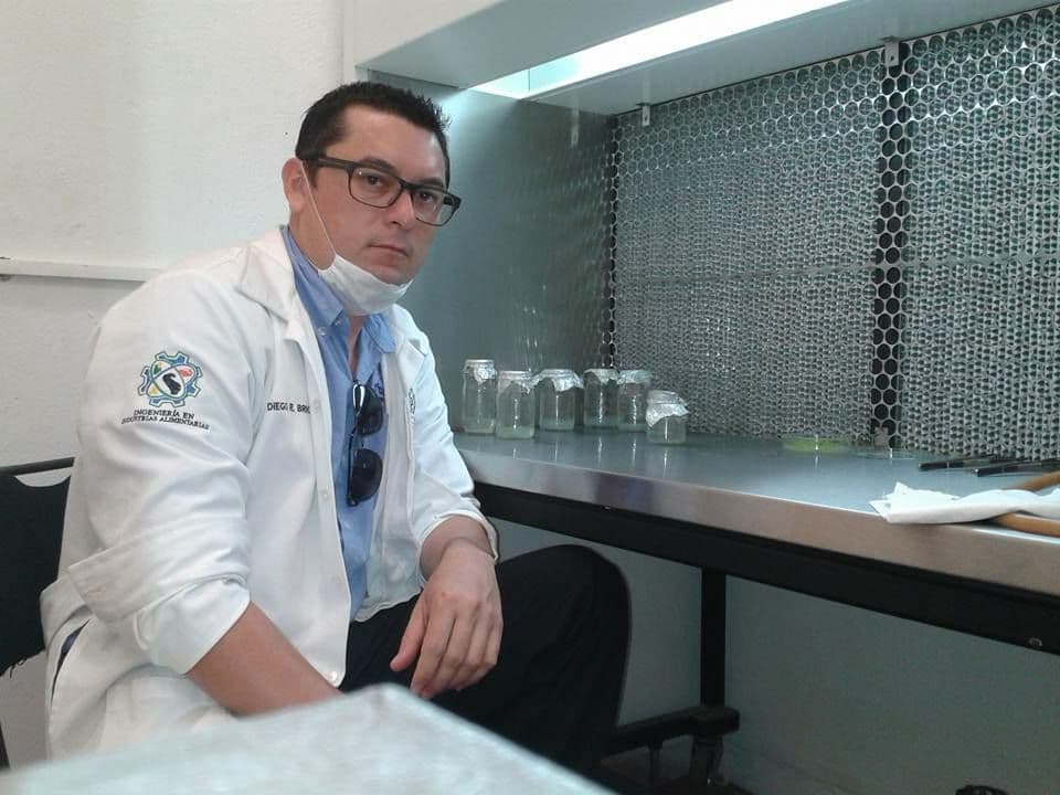 Protegen trabajos de la zona maya contra la piratería y el plagio