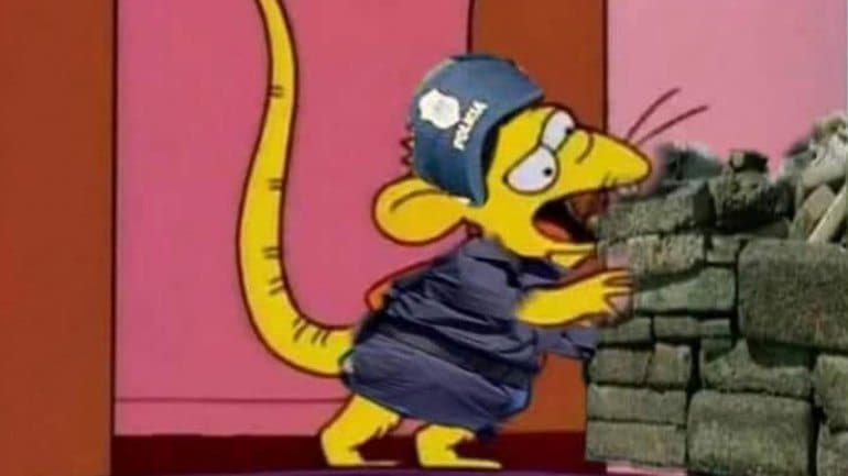 Desaparece media tonelada de marihuana y la policía culpa a ratones