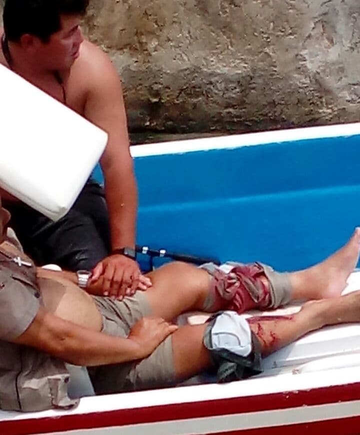 Cocodrilo muerde a bañista en Cozumel