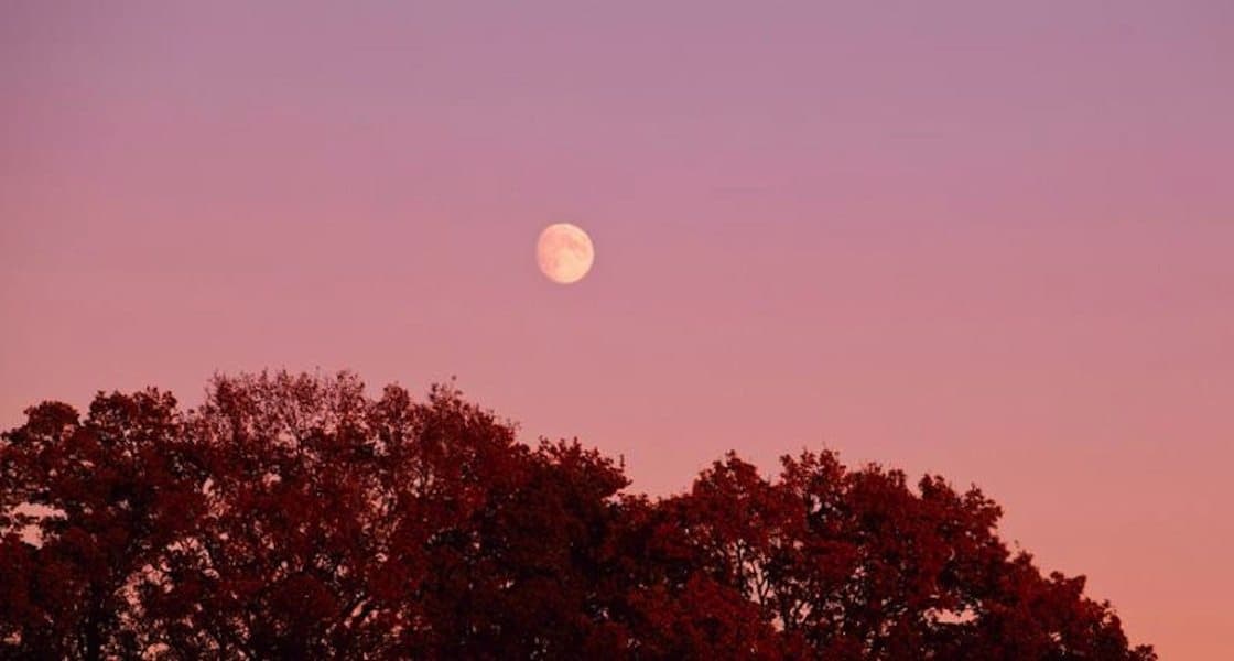 Una "Luna Rosa" adornará el cielo esta noche