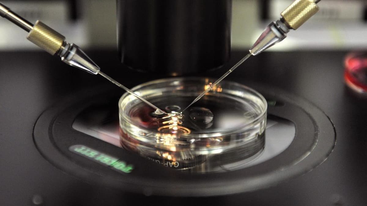 Descubre que su padre biológico es el doctor que inseminó a su madre