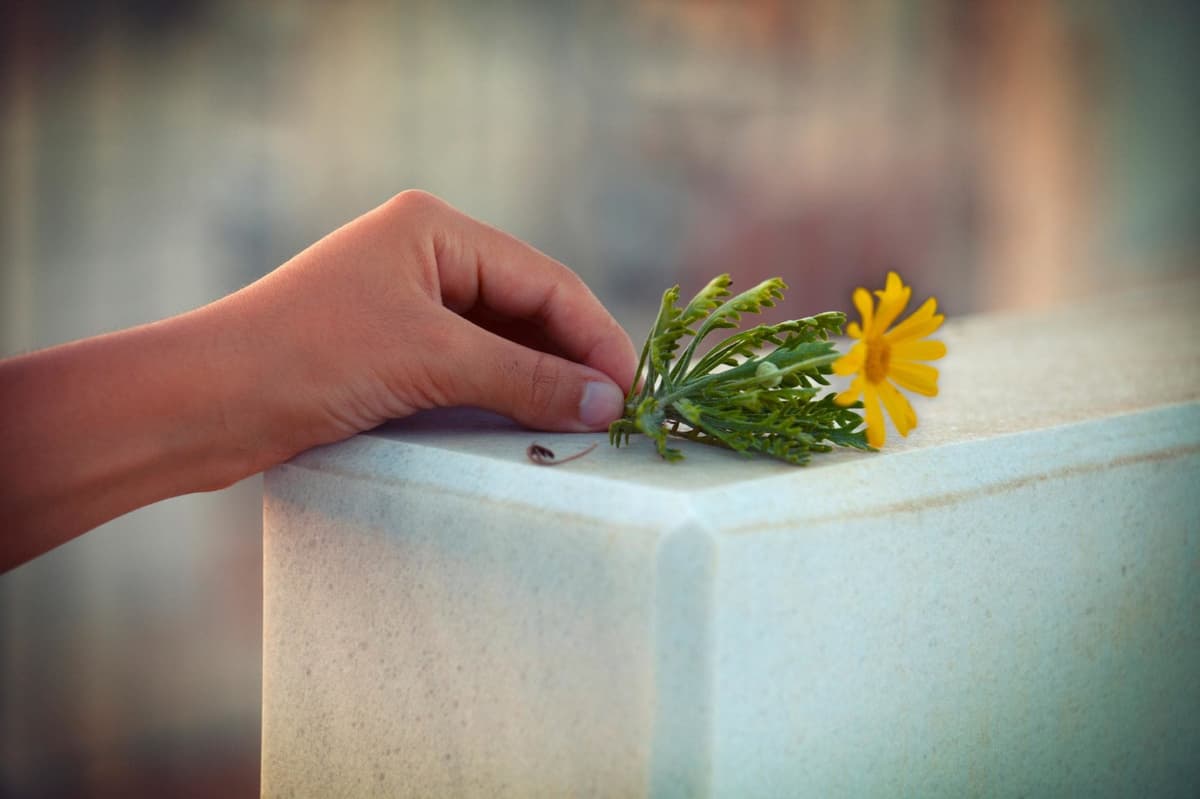 Familia vela cabeza de joven y ruegan por hallar su cuerpo
