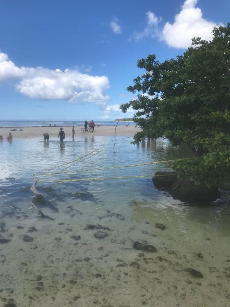 Acordonan área ante presencia de un cocodrilo