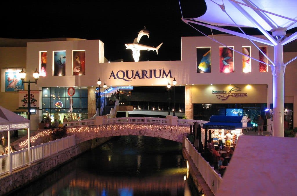 Conoce el único acuario en el que te puedes meter a nadar con los peces