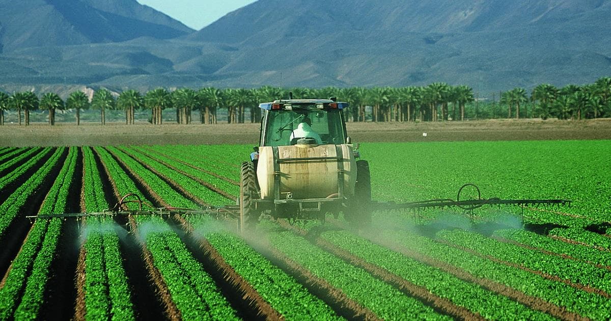 Científicos encuentran pesticida cancerígeno en alimentos de consumo común