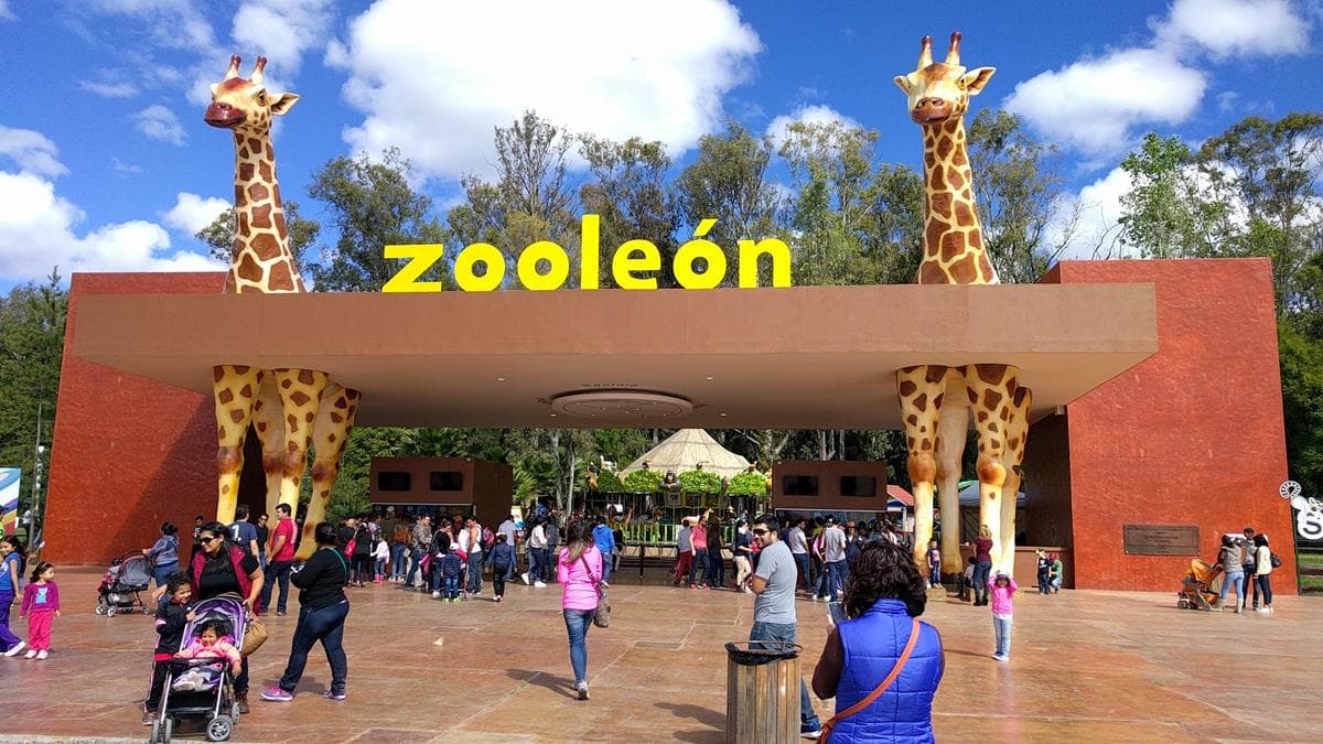 Al estilo Madagascar, escapan 4 antílopes del Zoo de León