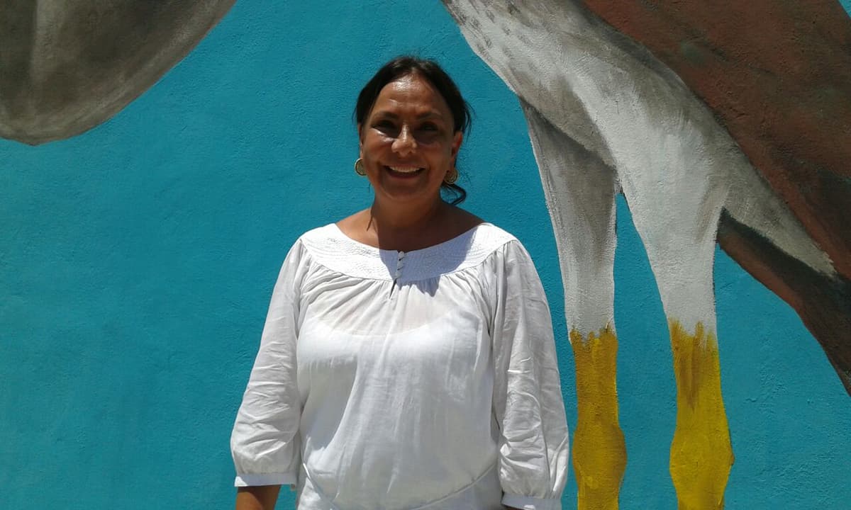 Xcacel-Xcacelito debe revisarse a fondo: Graciela Saldaña