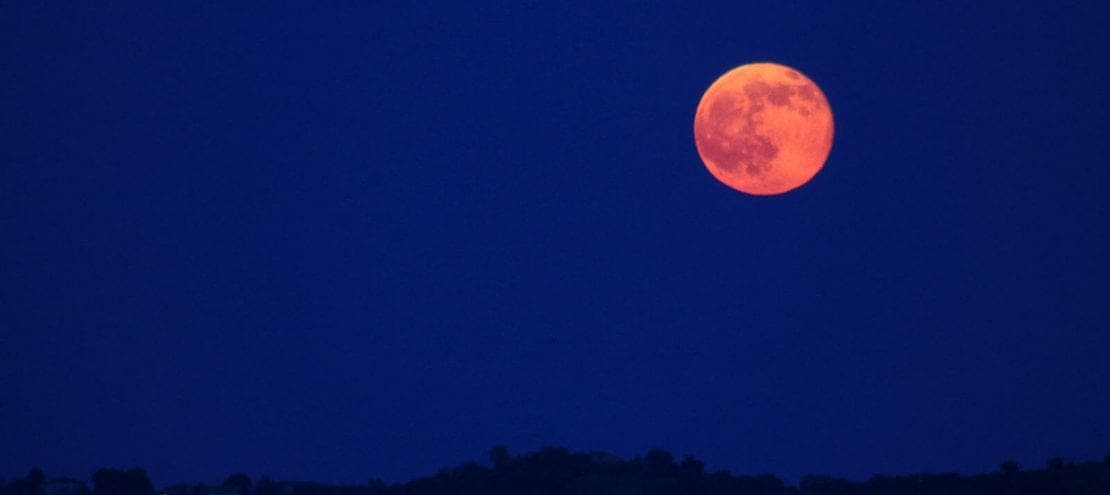 ¡Imperdible! Hoy se podrá ver la Luna de Fresa y Saturno