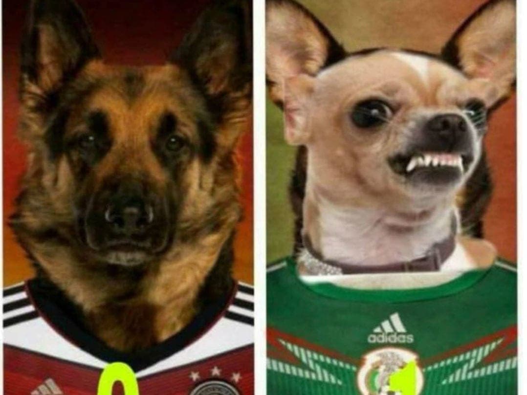 Perro hace peculiar celebración por gol de México