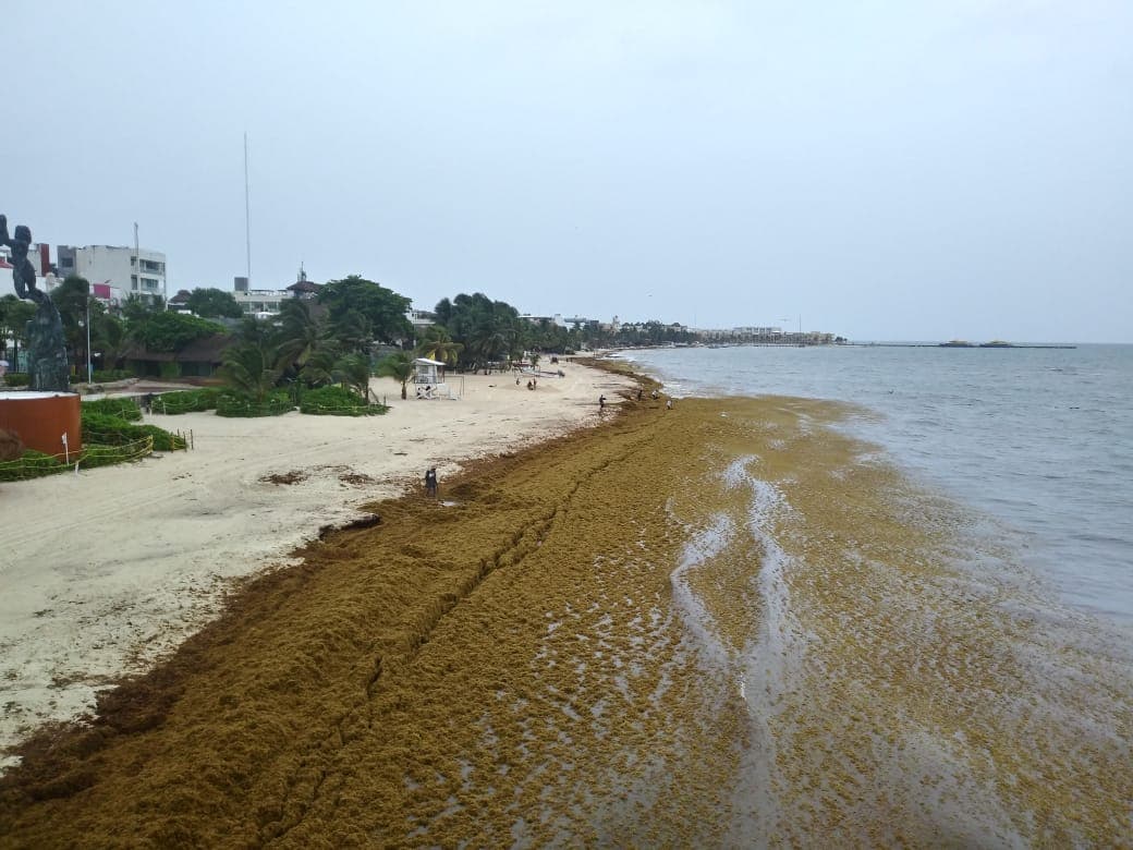 Con barreras de protección, inician las acciones para combatir el sargazo