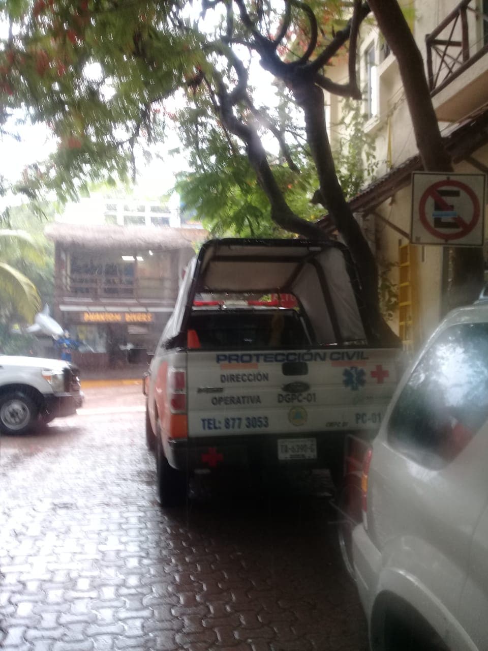 Cortan árboles en el centro de Playa, por lluvias