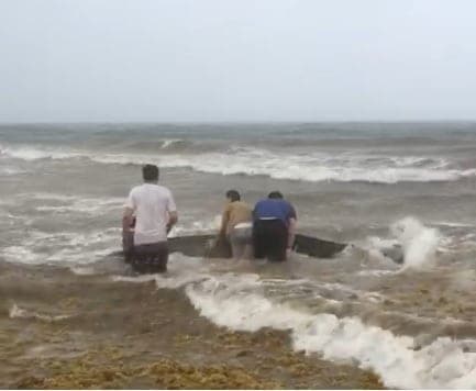 Liberan turistas a delfín varado en Playacar