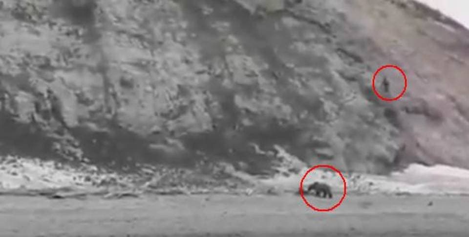 Vídeo registra los últimos minutos de un hombre perseguido por un oso