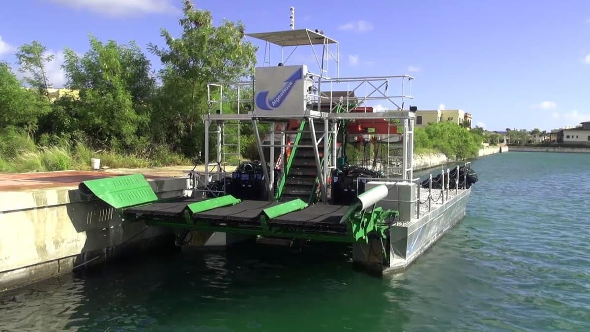 Propone Canaco usar barcaza para solucionar recale de sargazo