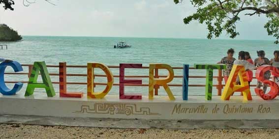 Renace producción del coco en Quintana Roo