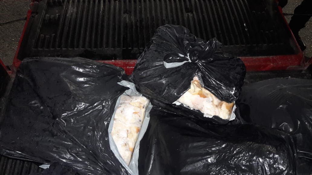 Vincula PGR a traficante de caracol rosado